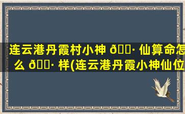 连云港丹霞村小神 🌷 仙算命怎么 🌷 样(连云港丹霞小神仙位置 地图)